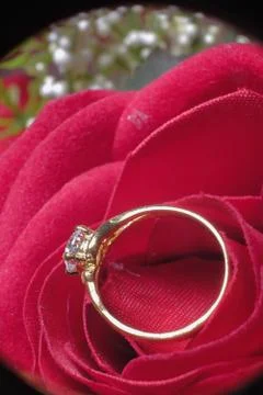 Wedding Ring Stock Photos