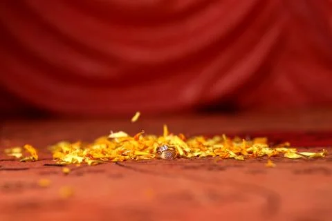 The wedding ring Stock Photos