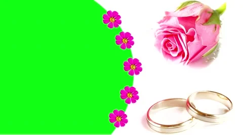 WEDDING RING Picture Frame Stock Footage 49689693