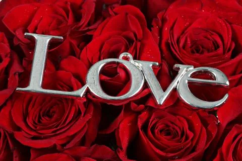 Wedding ring in rose, will you marry me? Stock Photos