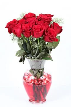 Wedding ring in rose, will you marry me? Stock Photos