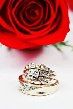 Wedding ring in rose, will you marry me? Stock Photos