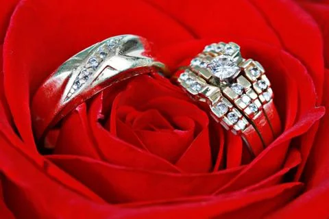 Wedding ring in rose, will you marry me? Stock Photos