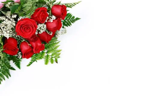Wedding ring in rose, will you marry me? Stock Photos