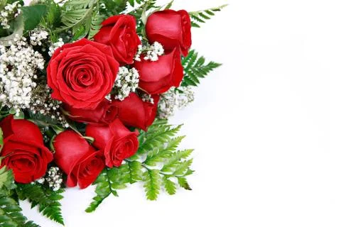 Wedding ring in rose, will you marry me? Stock Photos
