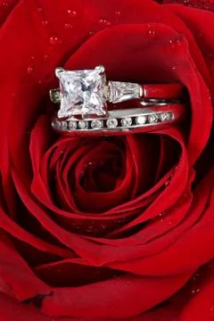Wedding ring in rose, will you marry me? Foto stock