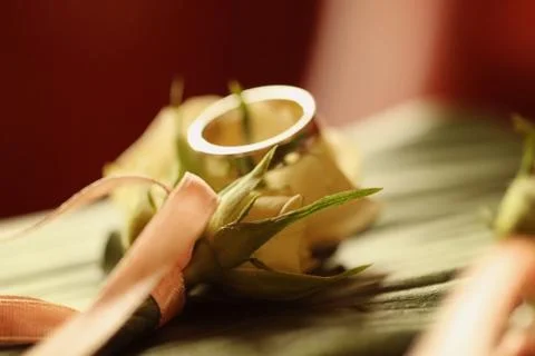 Wedding ring on roses Stock Photos
