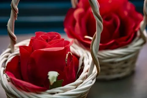 A wedding ring is sandwiched between two red rose ring pillows Stock Photos