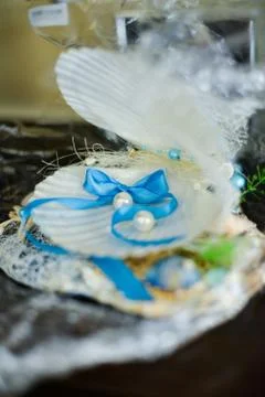 Wedding ring in a shell Stock Photos