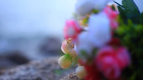 Wedding ring shot for wedding ceremony or video profiles Stock Footage 92862653