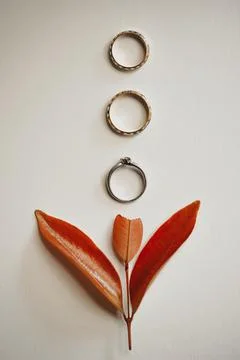 Wedding ring a symbol of unity 0000 Stock Photos