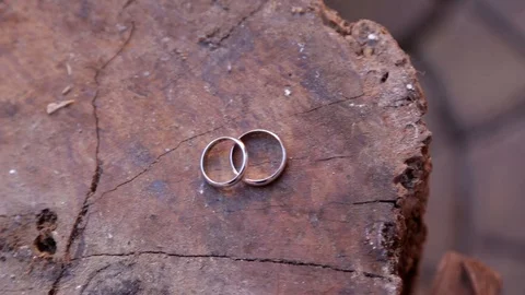 Wedding ring on a trunk Stock Footage 102123457