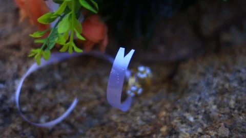 Wedding ring video over head shot on rock background Stock Footage 92863564