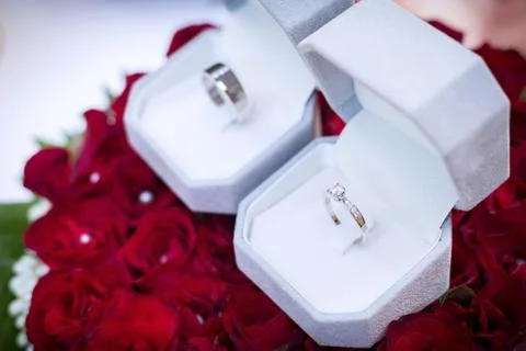 The wedding ring is in a white box. On a red rose Stock Photos