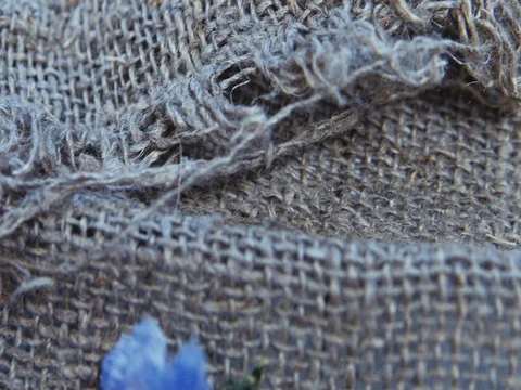 Wedding rings and flowers on a linen background Stock Footage 73552005