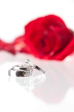 Wedding rings and rose.gn Stock Photos