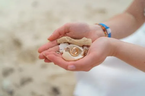 Wedding rings and small shells in the hands of a girl. Stock Photos