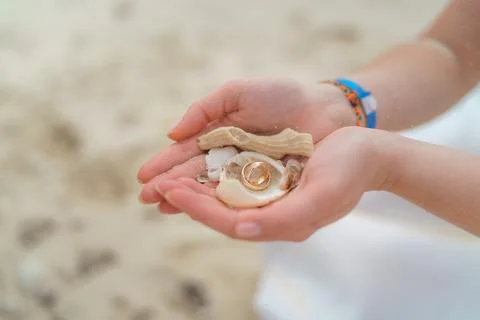 Wedding rings and small shells in the hands of a girl. Stock Photos