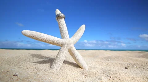 Wedding rings and startfish beach love concept Stock Footage 57886265