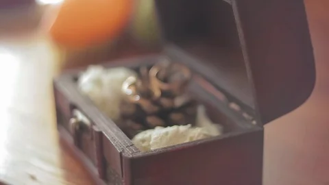 Wedding Rings Are in Box Slow Motion Stock Footage 72194827