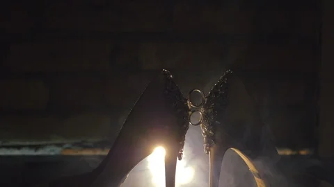 Wedding rings are installed between wedding shoes, footwear Stock Footage 103023705