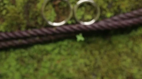 Wedding rings on a background of natural texture Stock Footage 66299174