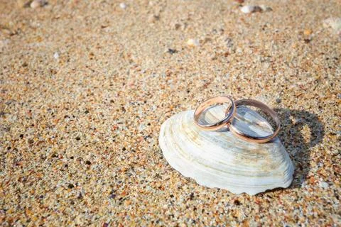 Wedding rings on the background Stock Photos