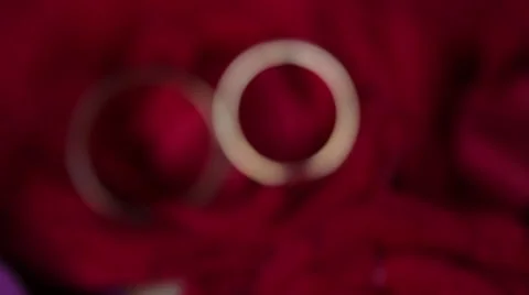 Wedding rings on a background of roses Stock Footage 66443254