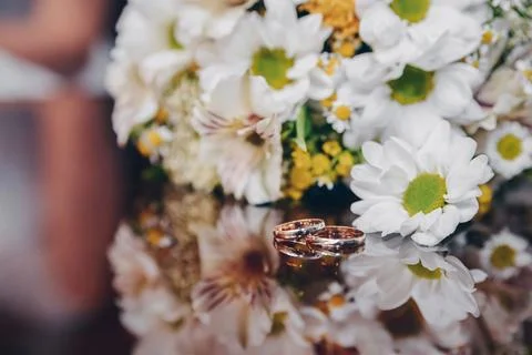 Wedding rings on a background of white flowers Stock Photos