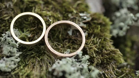 Wedding Rings on the bark of a tree in a moss macro closeup gold diamon Stock Footage 93713273