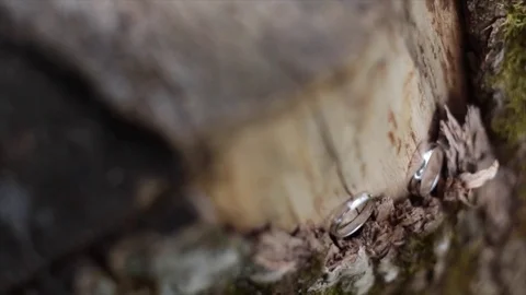 Wedding rings on a beautiful background Stock Footage 80929188