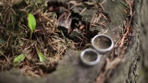 Wedding rings on a beautiful background Stock-Footage 80929282