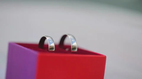 Wedding rings on a beautiful background with a reflection of the city Stock Footage 44300337