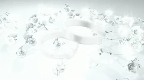 Wedding Rings BG Stock Footage 11290317