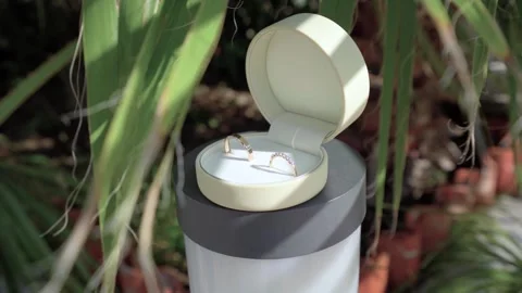 Wedding rings in a box on the background of palm leaves Stock Footage 168541270