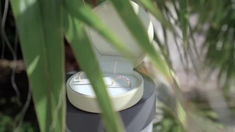 Wedding rings in a box on the background of palm leaves Stock Footage 168541304