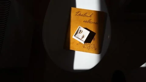 Wedding rings in a box Stock Footage 163567843