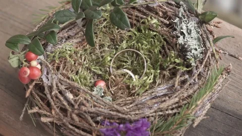 Wedding rings in a box in the form of a nest of twigs. Close-Up Stock Footage 126170665