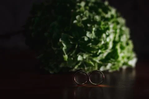 Wedding rings, close-up, delicate background Stock Photos