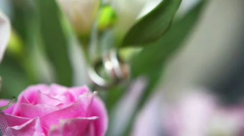 Wedding rings close-up Video stock 60124276