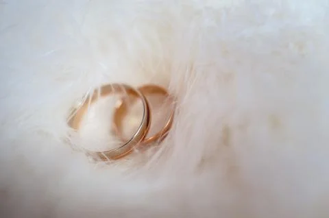 Wedding rings, close-up Stock Photos