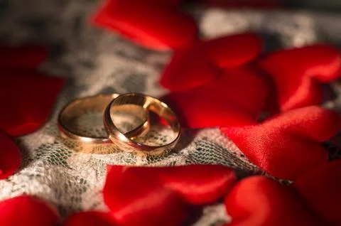 Wedding rings, close-up Foto stock