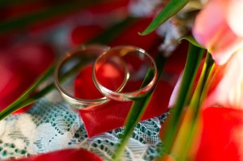 Wedding rings, close-up Stock Photos