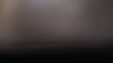 Wedding rings decoration ceremony set-up Stock Footage 156398564