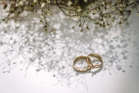 Wedding rings on a delicate background Stock Photos