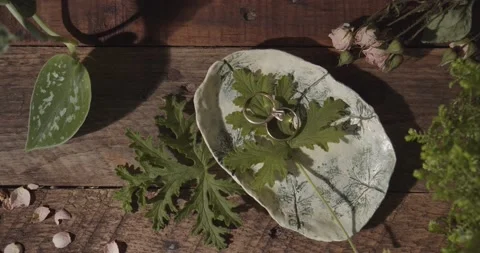 Wedding Rings on Display in a Rustic Garden Setting 스톡 동영상 148308531