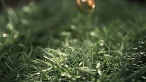 Wedding rings fall on the grass Stock Footage 131310828