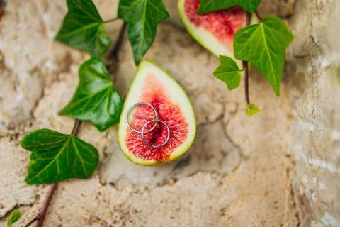 Wedding rings on figs Stock Photos