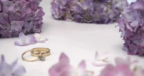 Wedding Rings on a Floral Background Shift Focus Video stock 144212787