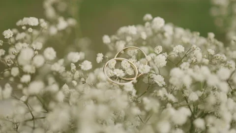 Wedding Rings on flower Video stock 203748261